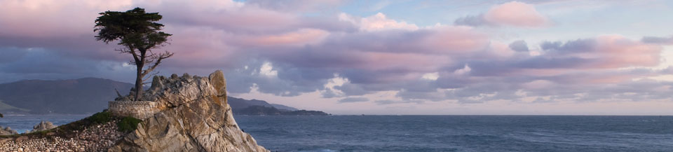 The Lone Cypress